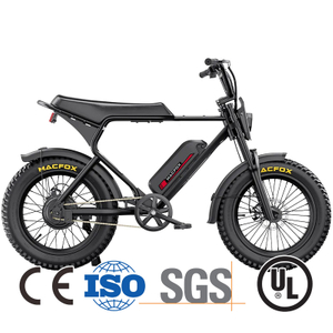 Chinese Powerful 4000W Street Legal Battery Powered Motorcycle for Youth
