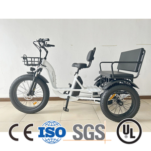 Cabin 48V 1500W Passenger Three Wheel Electric Motorcycle For Sale