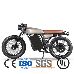 Chinese Powerful 4000W Street Legal Battery Powered Motorcycle for Youth