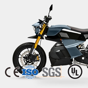 Diy Sport 3000W Roadster EV Motorcycle for Police