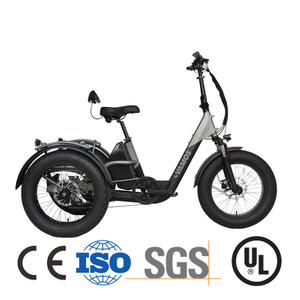 Cool 96V 4000W Passenger 3 Wheel Electric E Trike Price