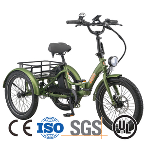 High Watts 96V 6000W Passenger Electric Tricycle Cost