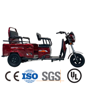 Fully Enclosed 96V 4000W Passenger Electric E Trike From China